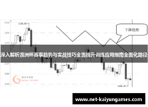 深入解析澳洲杯赛事趋势与实战技巧全面提升训练应用指南全面化路径